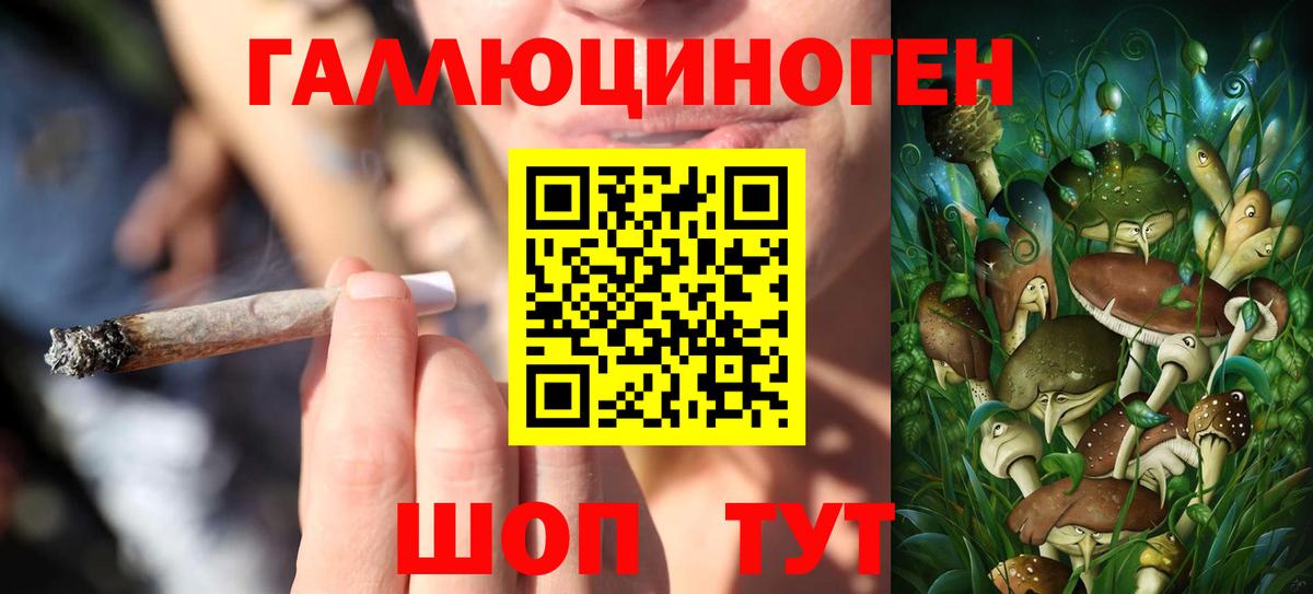 Галлюциногенные грибы Cubensis Мариинск