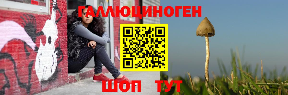 Мариинск  наркота  Вход с VPN  Галлюциногенные грибы Magic Shrooms 